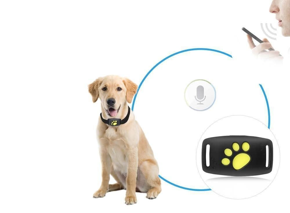 GPS-Tracker für Katzen mit Echtzeit-Ortung per App und kleinem Gehäuse fürs Halsband, Ansicht 3