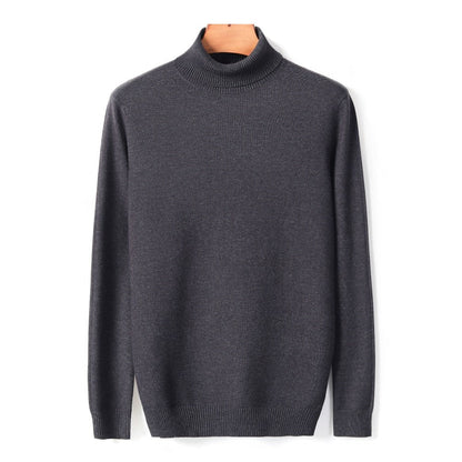 Herren-Rollkragenpullover aus Feinstrick mit Rippbündchen für Herbst und Winter in Grau